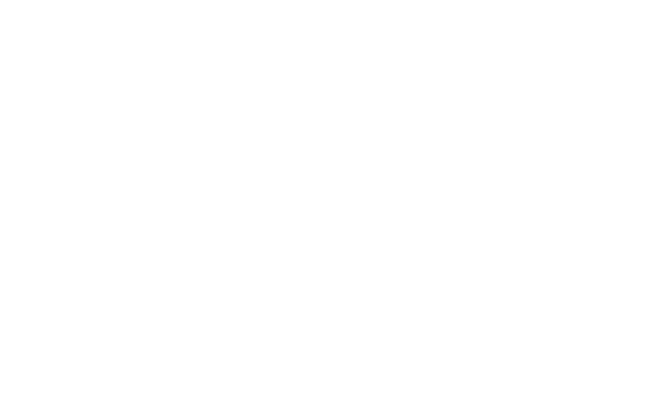 Emi Shreds