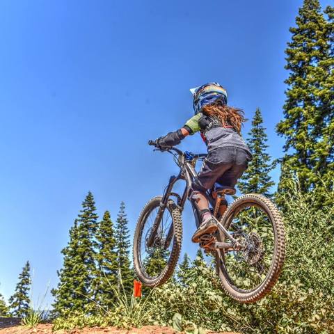 Emi jumping beside tall pines